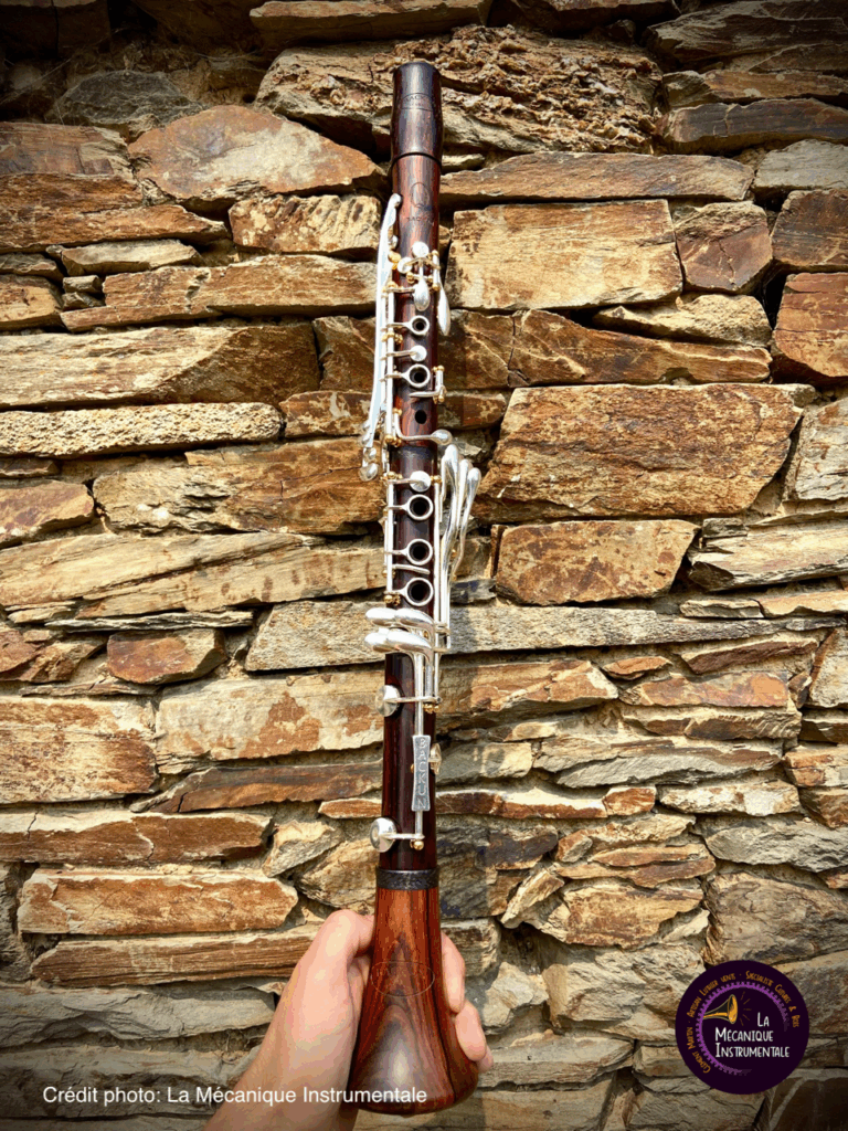 la-mecanique-instrumentale-Clarinette-Serie-Q-cocobolo-Backun